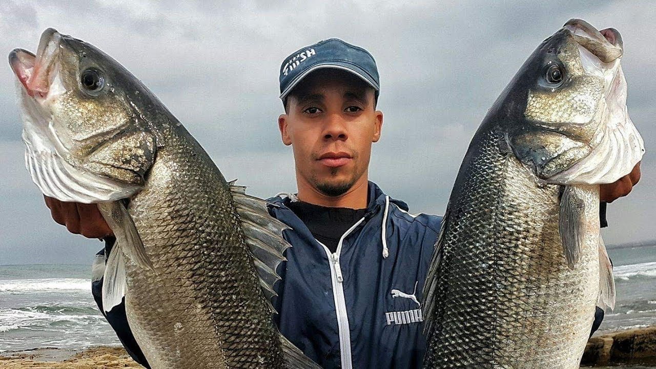 نصف ساعة من الاثارة في احسن خرجات صيد السمكة ذهبية درعي اوقروص الجزء الثاني