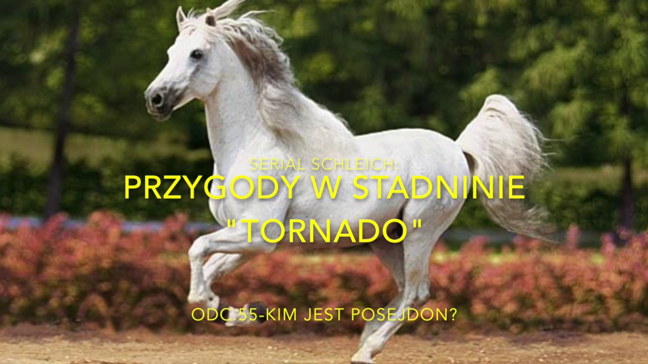 Serial schleich:Przygody w Stadninie 