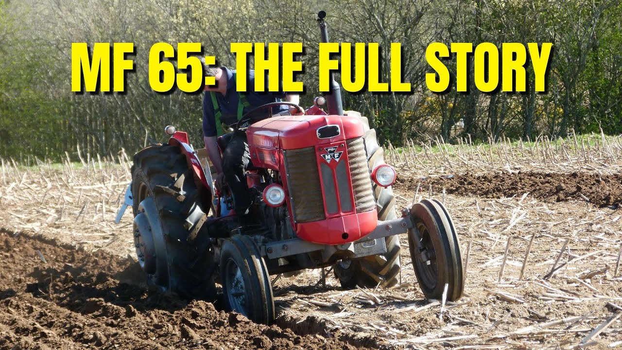 Everything You Need to Know About The Massey Ferguson 65