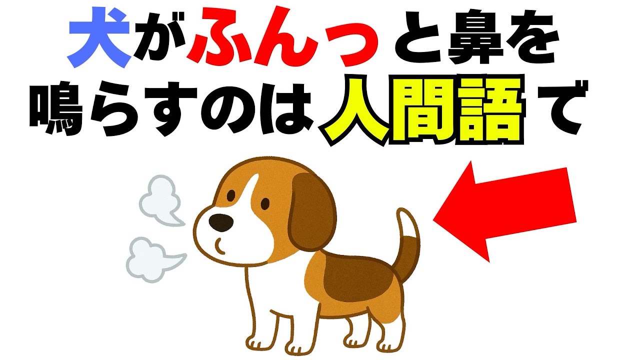 犬がふんっと鼻を鳴らすには人間語で・・・