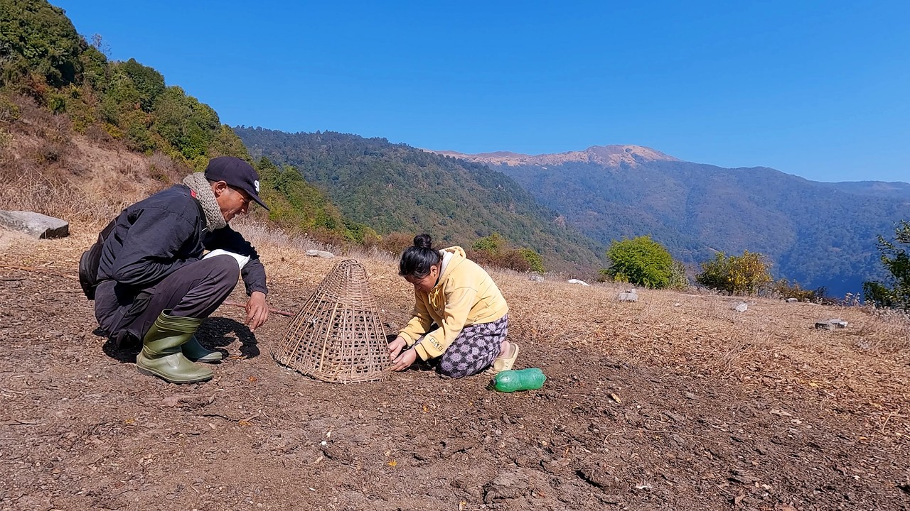 Himalayan  BUFF curry and rice in the sheep hut || shepherd life of Nepal ||@pastorallifeofnepal