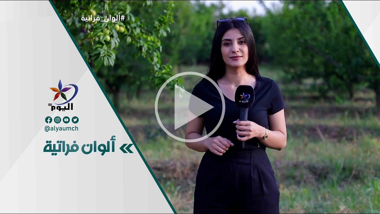 ريف الرقة.. الزراعات الصيفية في الكسرات | 28-5-2024