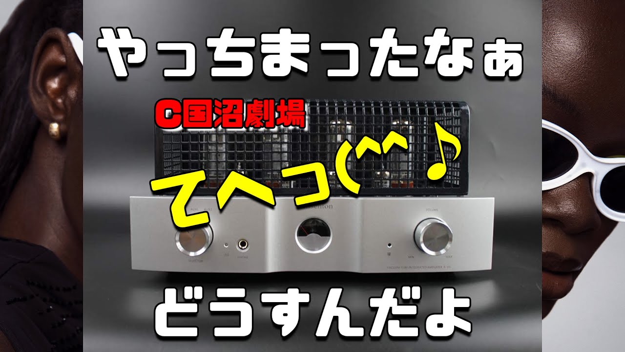 【開封動画】真空管アンプ（willsenton R-35i）購入！