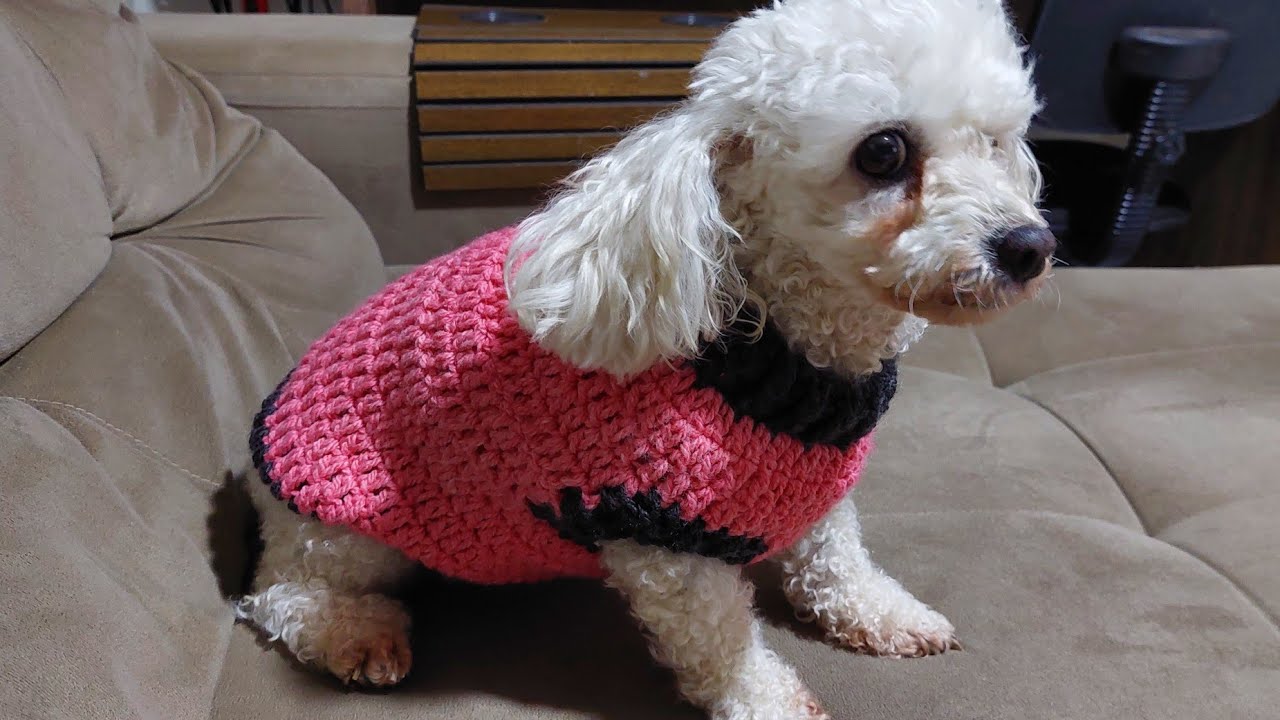 Roupinha para cachorro de croche