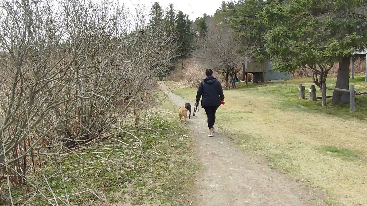 Saint John New Brunswick, Duck Cove and the Shoreline Trail