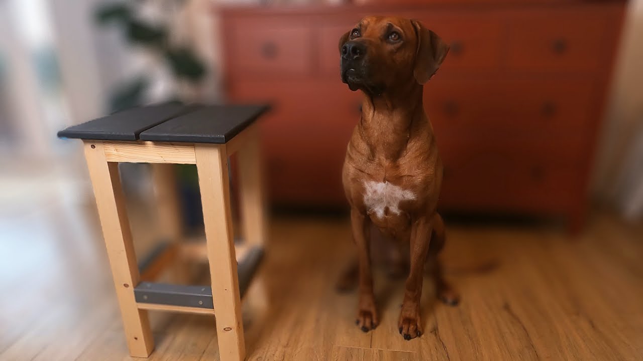 Barhocker aus Dachlatten selber machen/ BARSTOOL DIY