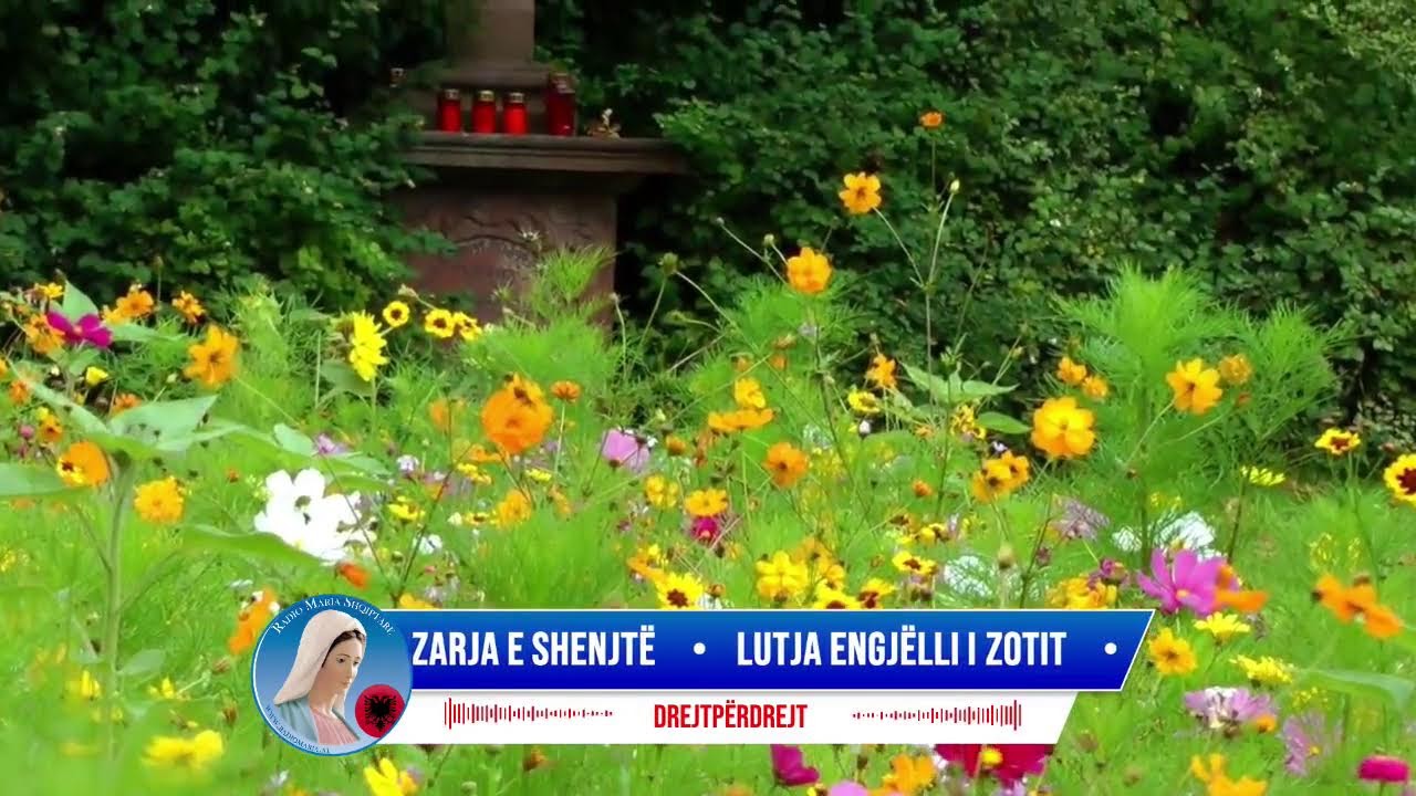Lutja Engjëlli i Zotit, ora e mesme & Rruzarja e shenjtë