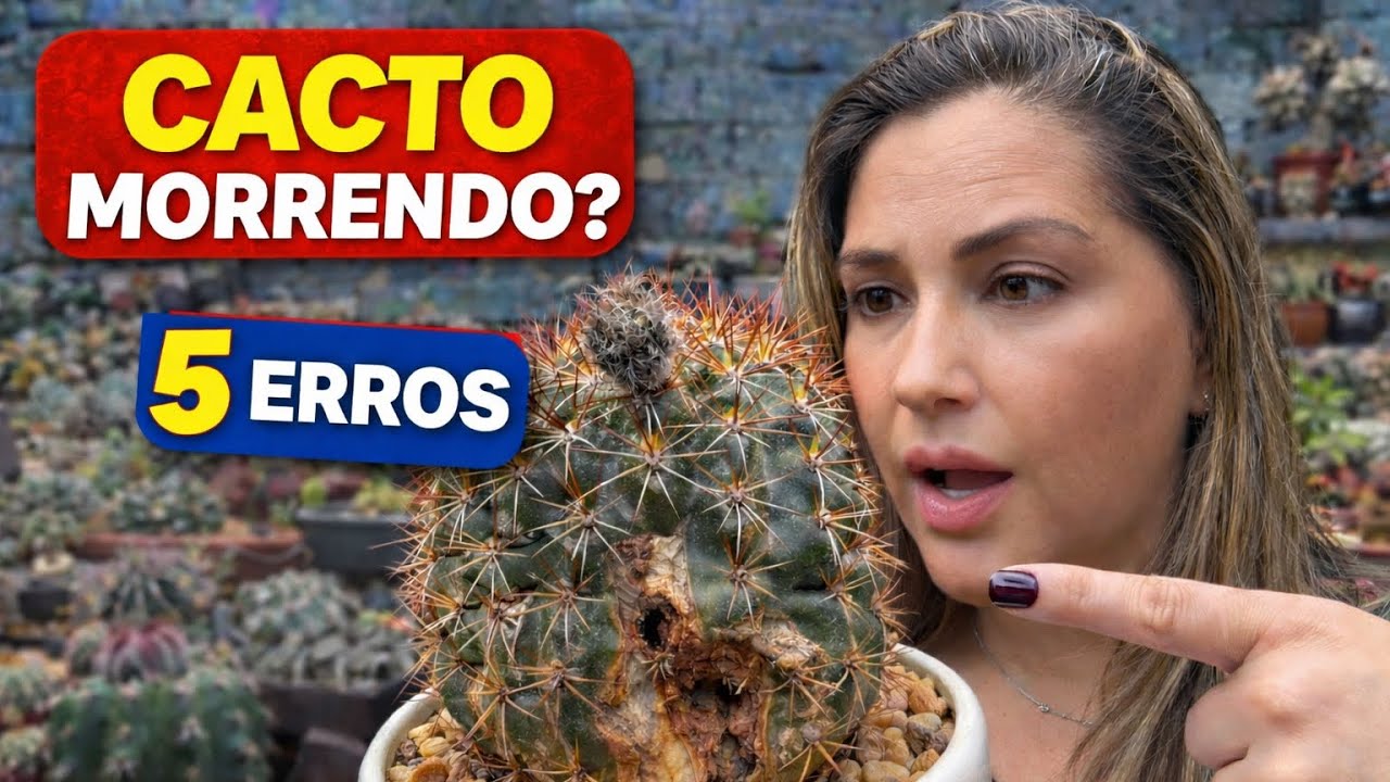 ⚠️ 5 erros no cultivo de cactos que fazem seu cacto morrer | como cuidar de cactos🌵