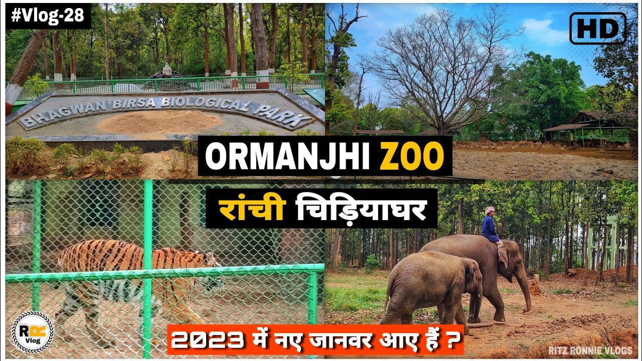 रांची चिड़ियाघर🦚| Ormanjhi Zoo | BIRSA MUNDA BIOLOGICAL PARK🦣 