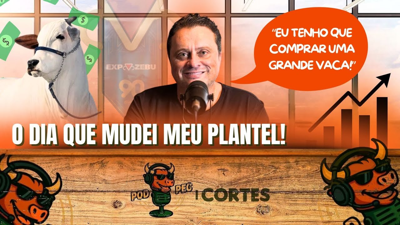 A COMPRA DA VIATINA 19