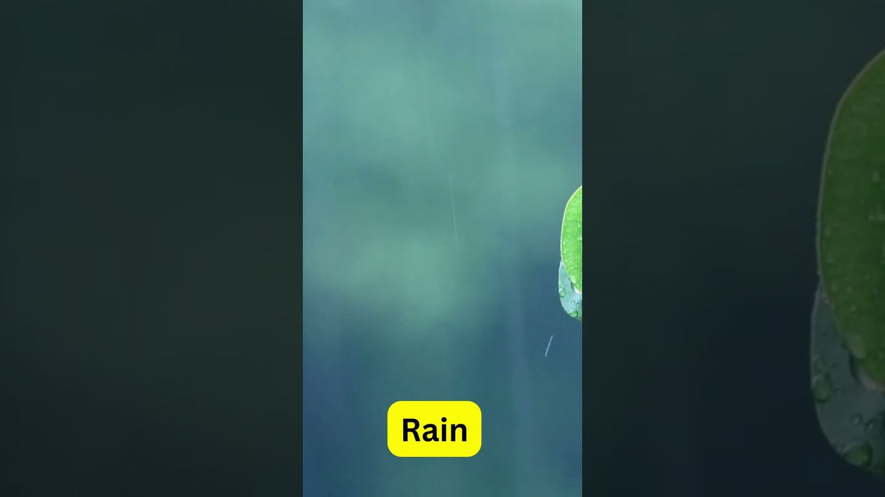 Rain Video #shorts #rainvideo