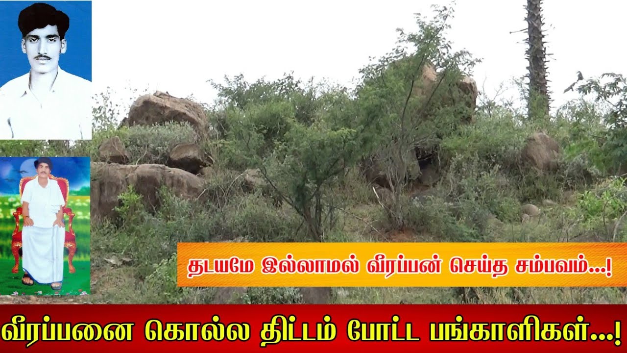 தடயமே இல்லாமல் நடந்த  இரட்டை கொலை....! வீரப்பனை கொல்ல துடித்து  பங்காளிகளை முந்தி  கொன்ற  வீரப்பன்
