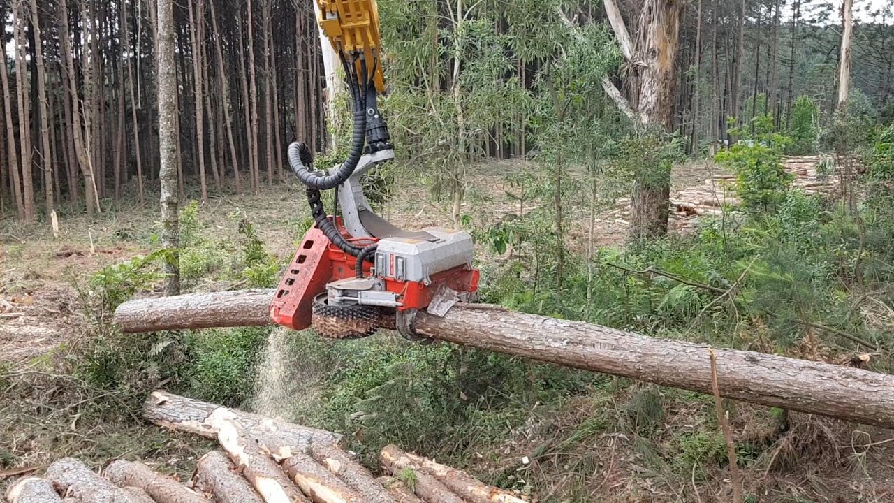 Ajustes Log Max 7000C