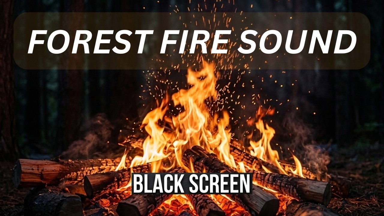 10 Hours Forest Fire ASMR – Dark Screen for Uninterrupted Sleep