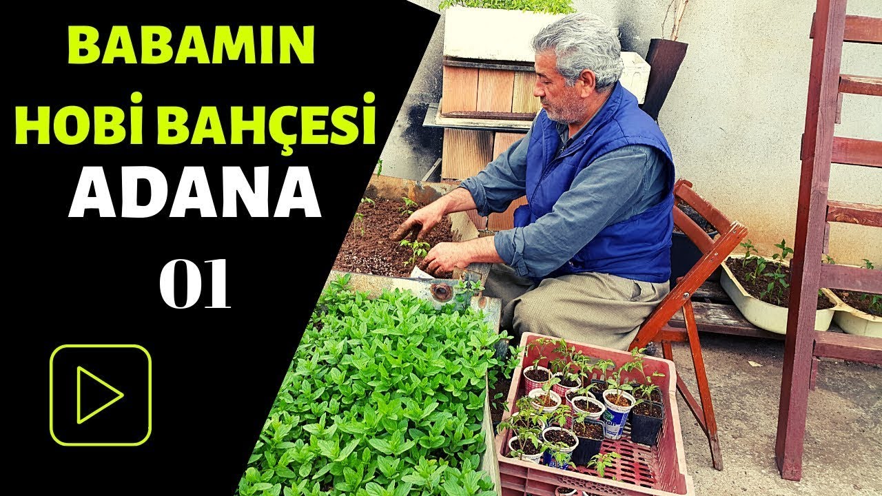 BABAMIN DAMDAKİ HOBİ BAHÇESİ - BALKON BAHÇECİLİĞİ