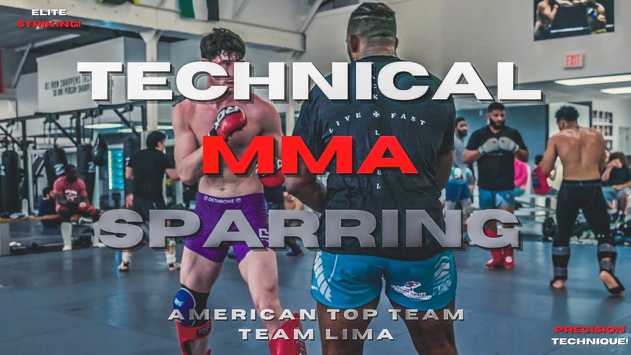 AMERICAN TOP TEAM TECHNICAL MMA SPARRING #boxing #muaythai #mma #kickboxing #bjj #sparring