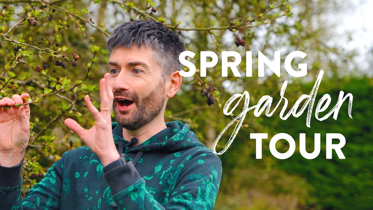 Весенняя экскурсия по саду 🌸 | Всё расцветает (плюс одна большая проблема&hellip;)