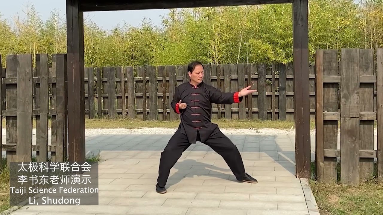 First International Taiji Science Forum Video