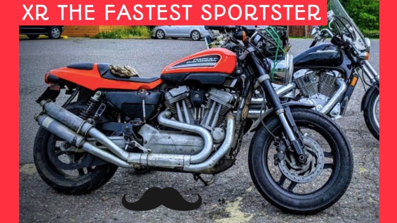 The Fastest Sportster, Harley XR 1200 This Rowdy Rascal is Rambunctiouns!