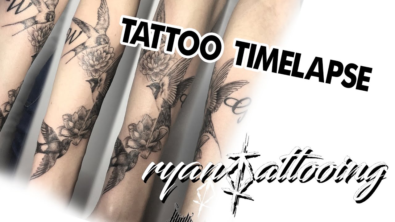 3 birds tattoo TimeLapse