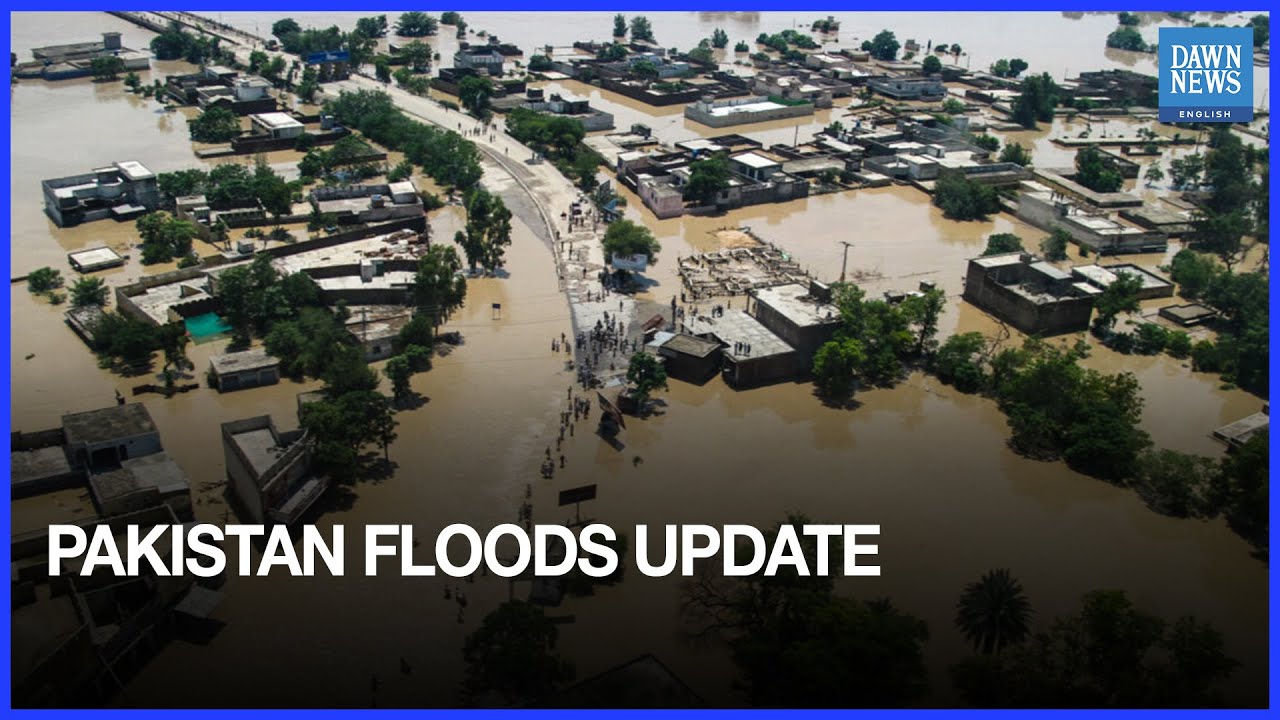 Pakistan Flood Update: Panjnad Recedes but Guddu, Sukkur Barrages Face High Flood Threat