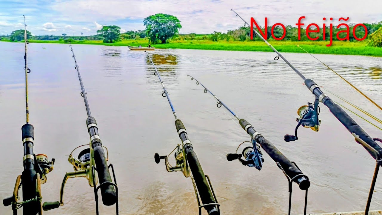 A CADA FISGADA UM PEIXE DIFERENTE QUE PEGAVA!!! Rio turvo no feijão 🫛..