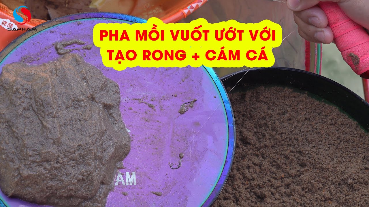 Pha mồi vuốt ướt với tạo rong và cám cá