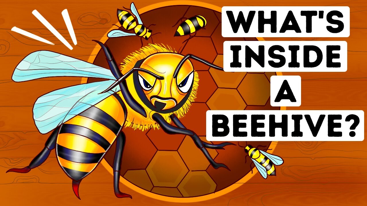 Beehive Unveiled: Nature's Realm + Animal Wonders!