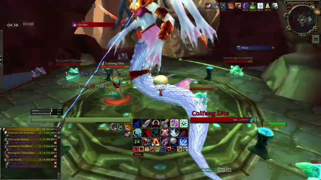 Cataclysm Classic Lady Vashj Hunter Solo