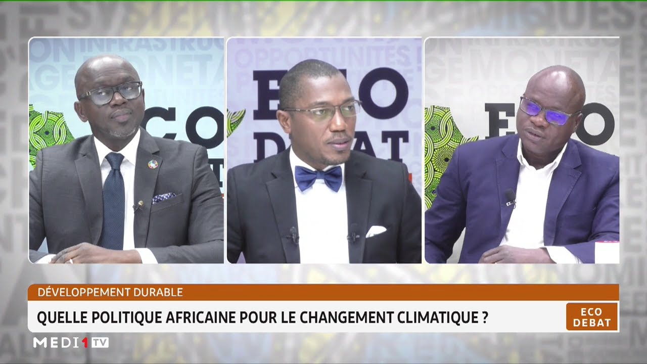Développement durable: quelle politique africaine pour le changement climatique?