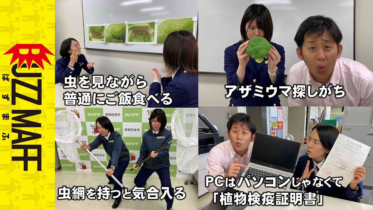 ~植物防疫官あるある~　ﾀｶﾞﾔｾｷｭｳｼｭｳ