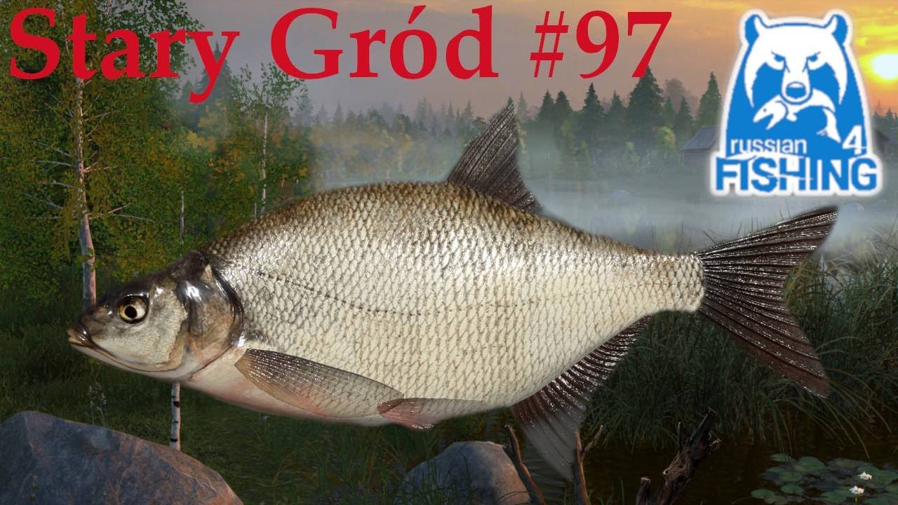 Russian Fishing 4 - Leszcze Breams  Old Burg Lake Feeder Active spot Jezioro Stary Gród #97