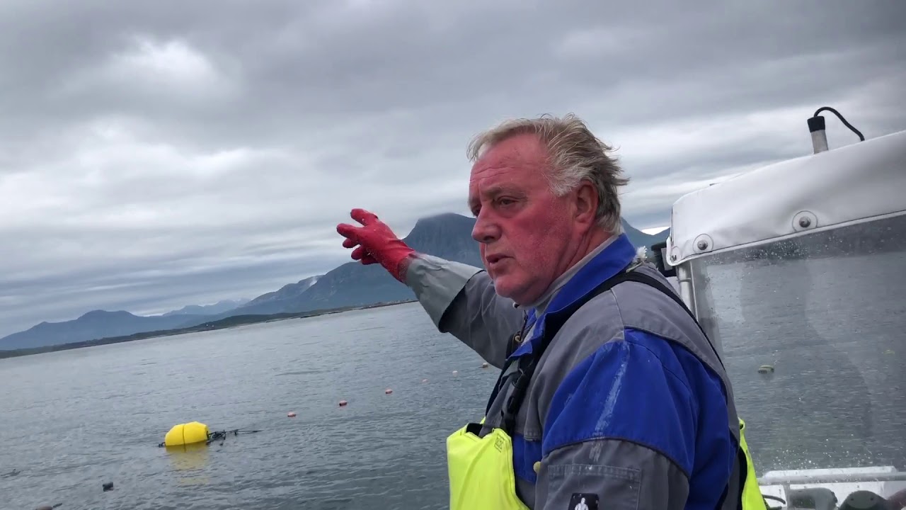 Laksefiskeren
