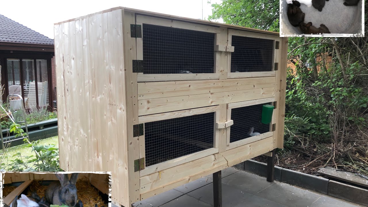 Kaninchenstall selber bauen