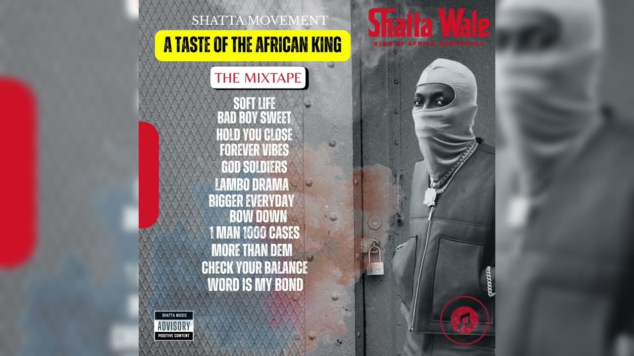 Shatta Wale - Check Your Balance (Audio Slide)