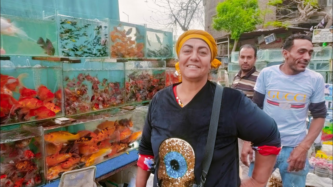 سوق الجمعه بالسيدة عائشة اسعار اسماك الزينه تشكيله جديده واسعار زمان مع ام حنان كينج فيش