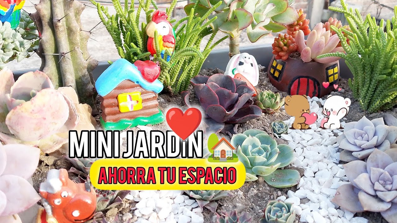 Haciendo un Mini Jardín 🏡 de SUCULENTAS,, Decora  tu espacio 🥰🏡