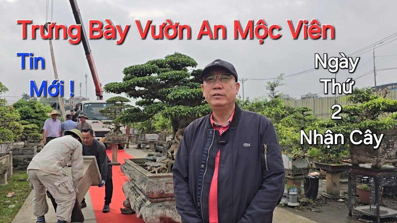 Tin Mới ! NGÀY THỨ 2 NHẬN CÂY tại trưng bày nội bộ VƯỜN CẢNH AN MỘC VIÊN - HÀ NỘI 2026 .