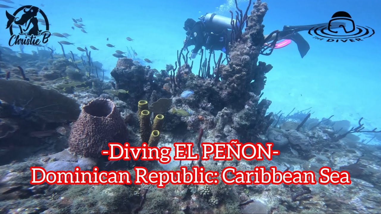 Diving EL PE&Ntilde;ON in the Caribbean Sea: Dominican Republic