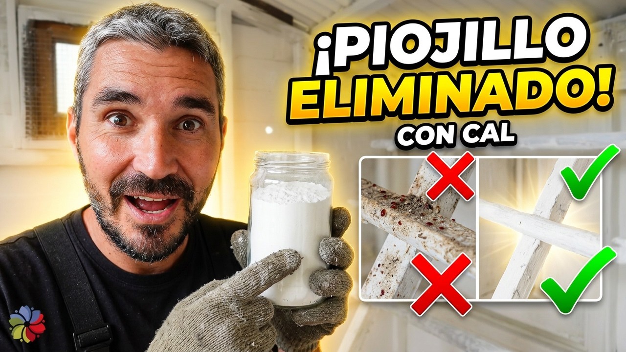 🐔 Limpiar con CAL el GALLINERO, nuevos DORMIDEROS y ELIMINAR PIOJILLO