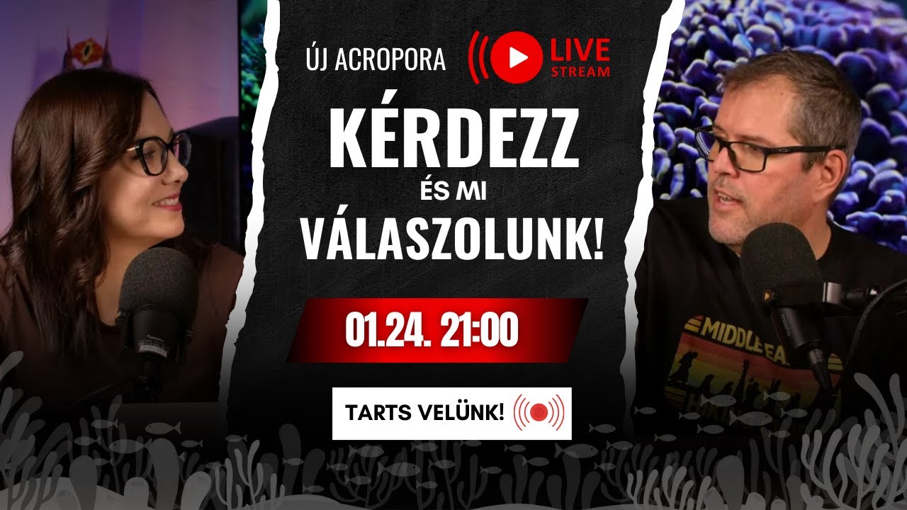 15 kritikus hiba a tengeri akvarisztikában – Ezek csendben teszik tönkre az akváriumod! 🔥🐠 LIVE