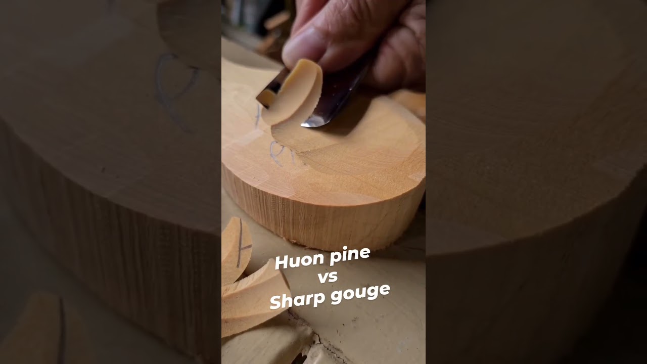 Huon pine vs a sharp gouge, makes for some sweet curls...#huonpine #handcarved #handcrafted