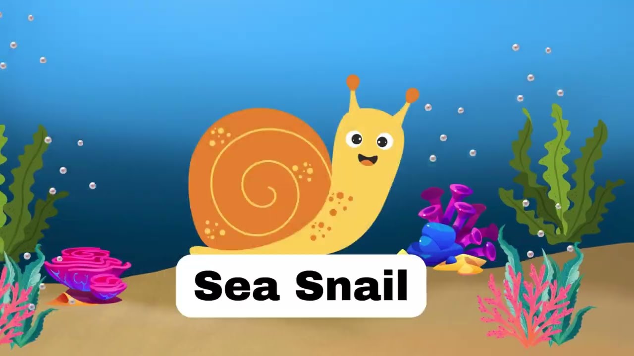 🐠 Kids Vocabulary - Amazing Sea Animals 🐙🐋 Learn English For Kids - English Educational Video!