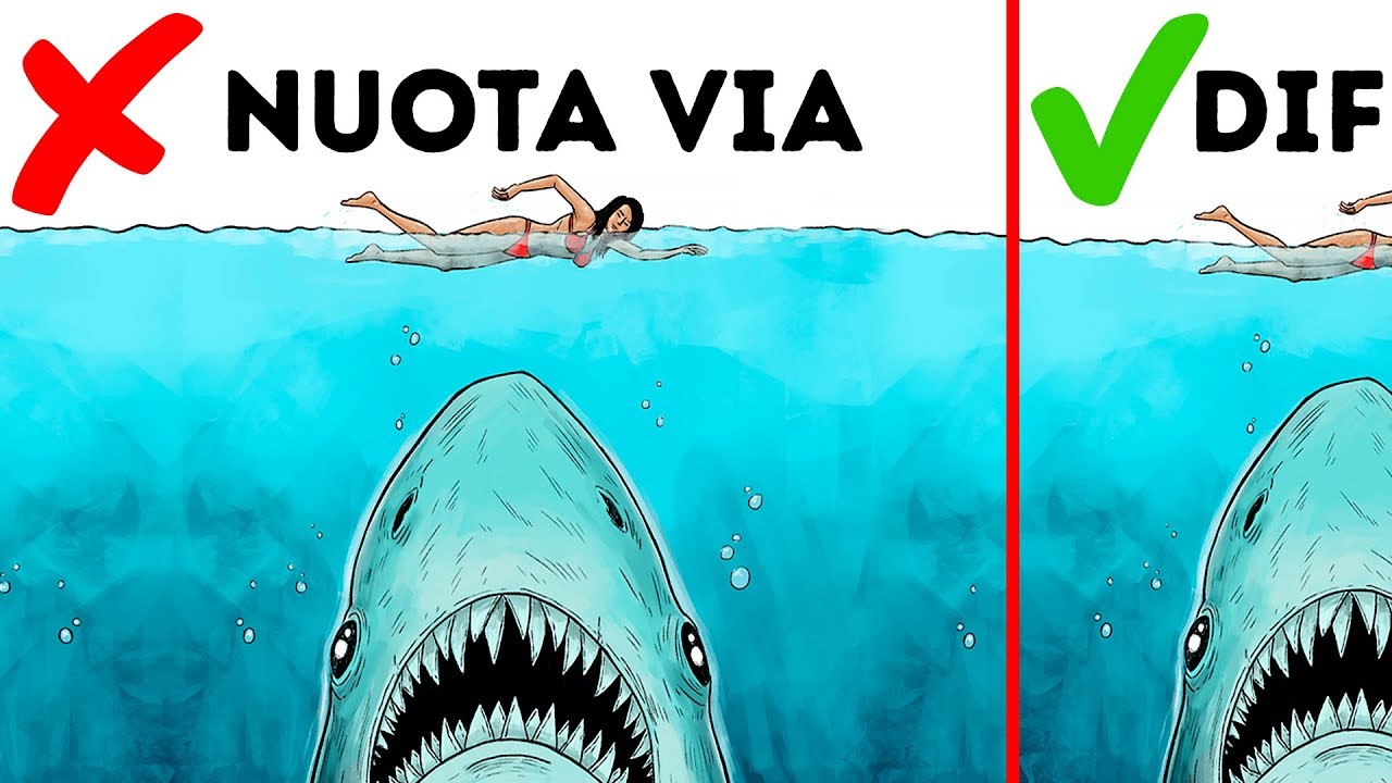10 Semplici Modi Di Sopravvivere All'Attacco di Un Animale Selvatico