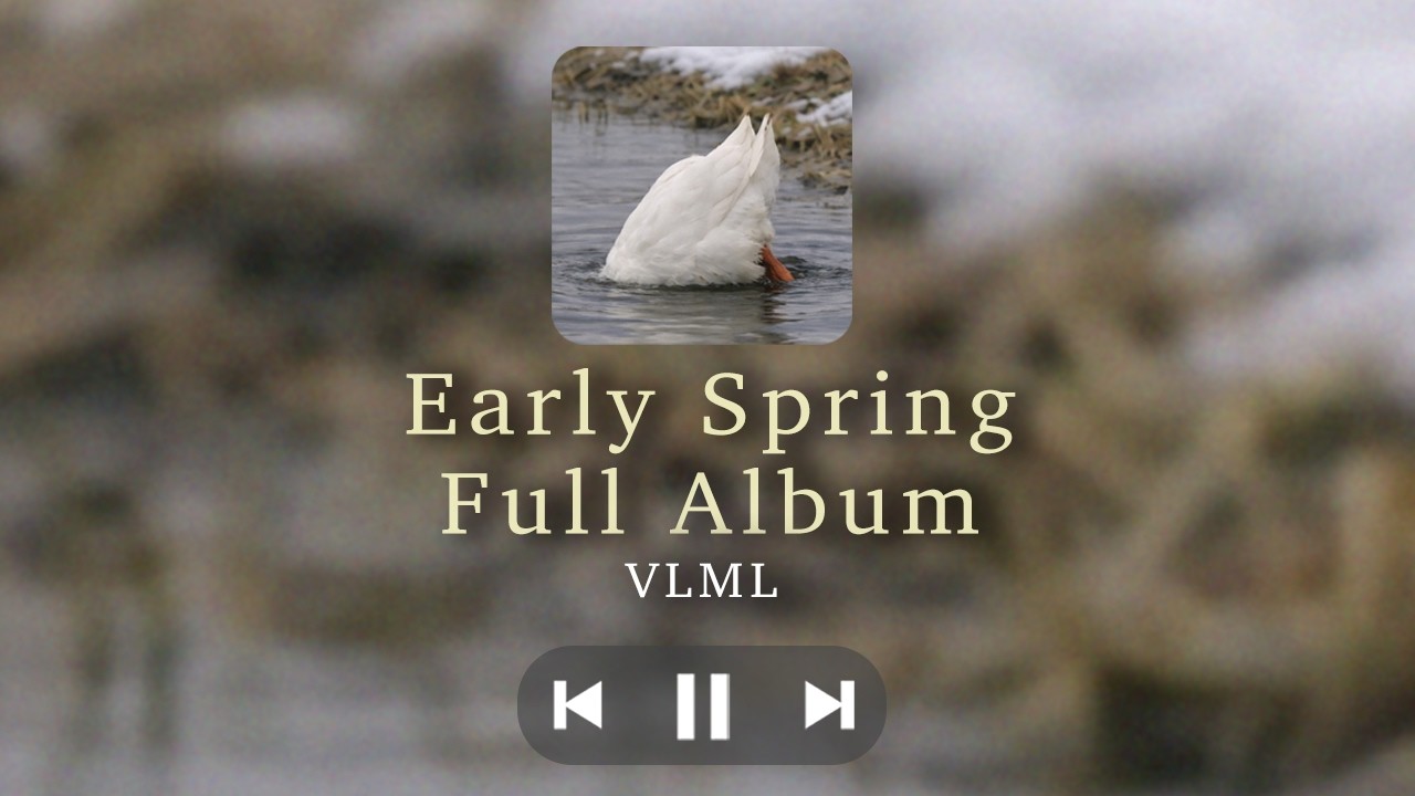 Early Spring – Full Album (Official Lyric Video) | VLML
