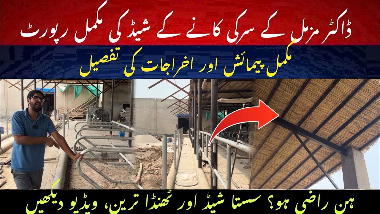 Dr. Muzzammil sirki shed complete report II Cheap shed design 2025 II Dr. MUZZAMMIL 