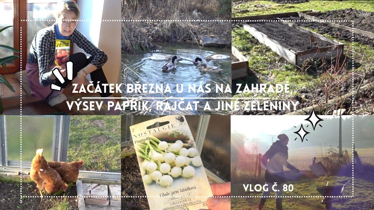 Začátek března u nás na zahradě, výsev paprik, rajčat a jiné zeleniny #vlog č. 80