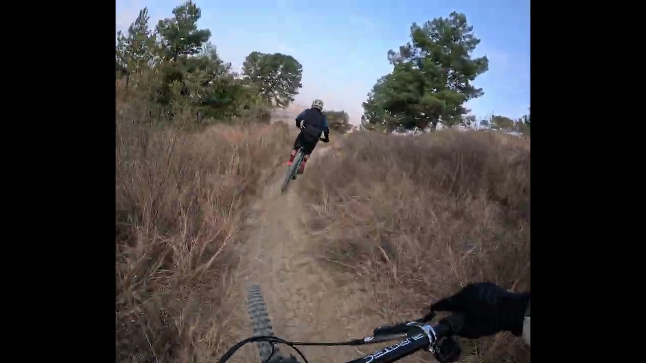 #RAWMTB - Mimosa by Lalo and Pato