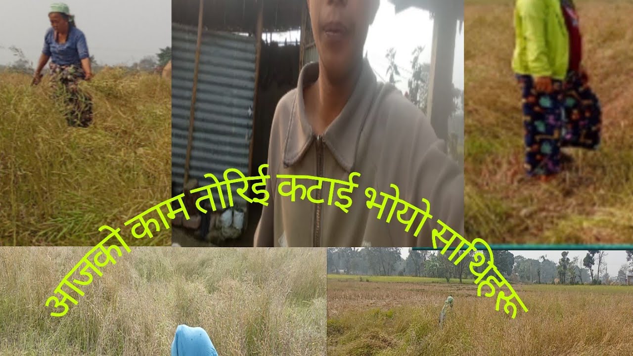 Jhapa ma  kam atogariyo