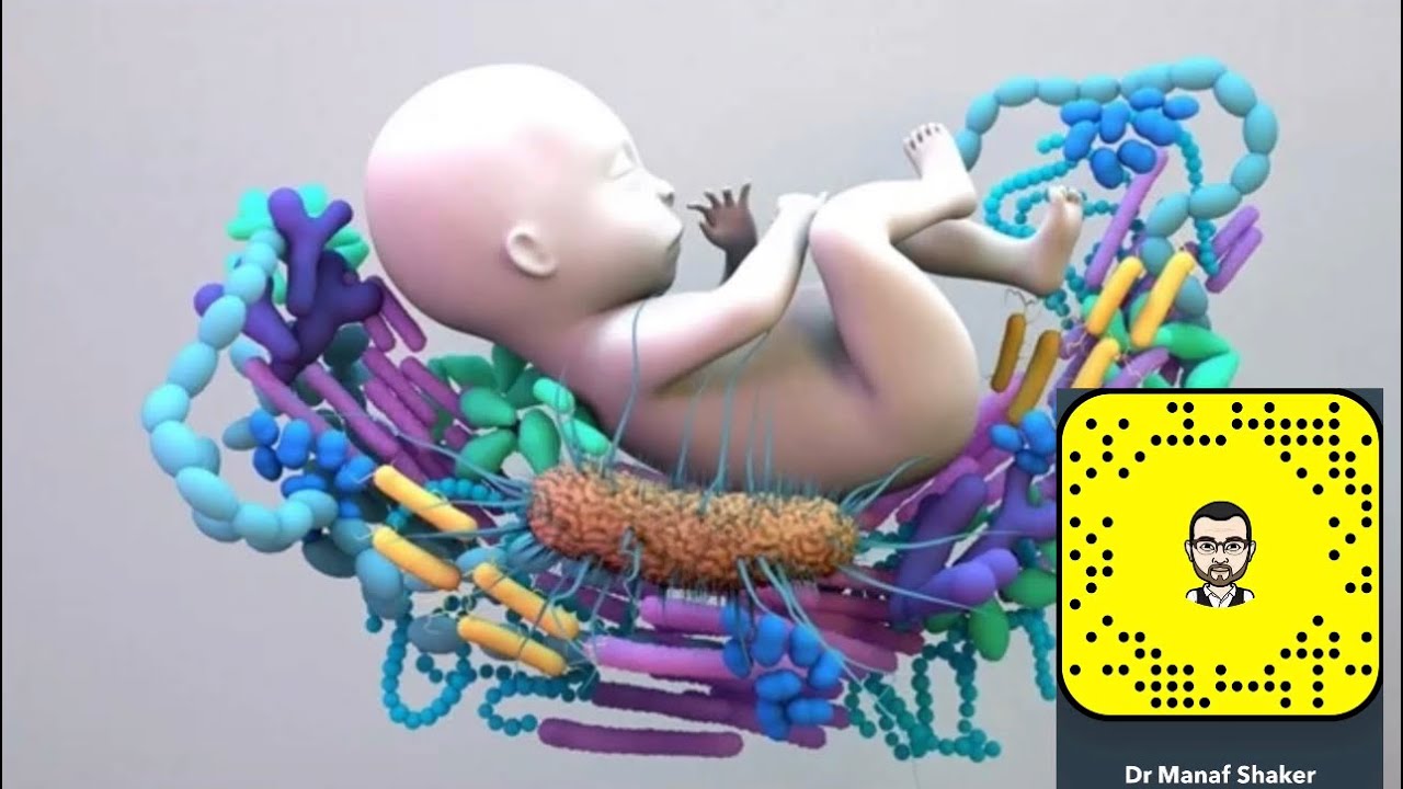 البكتريا النافعة في الأمعاء  Microbiome